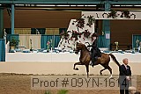 09yn-16141 proof