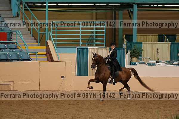 Proof 09yn-16142