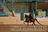 09yn-16142 proof