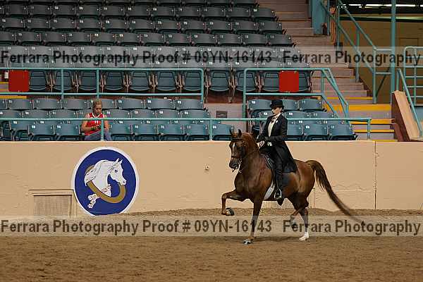 Proof 09yn-16143
