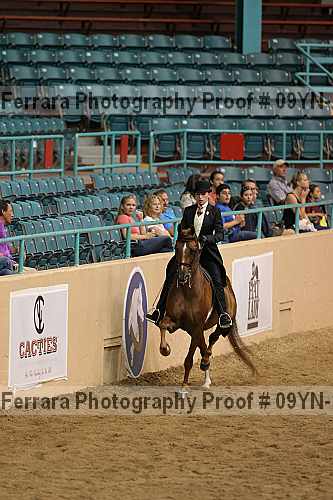 Proof 09yn-16144
