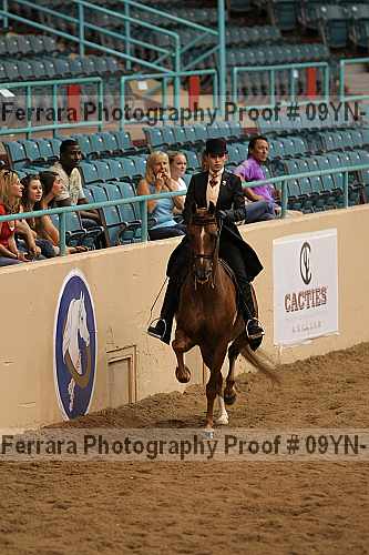 Proof 09yn-16145