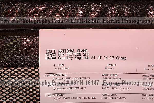 Proof 09yn-16147