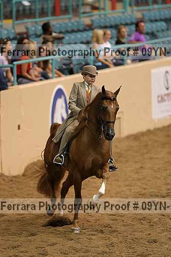Proof 09yn-16149