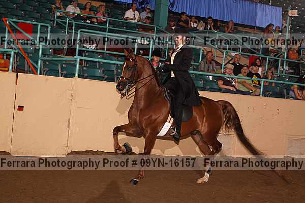 Proof 09yn-16157