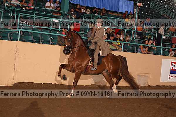 Proof 09yn-16161