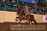 09yn-16161 proof