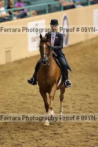 Proof 09yn-16162