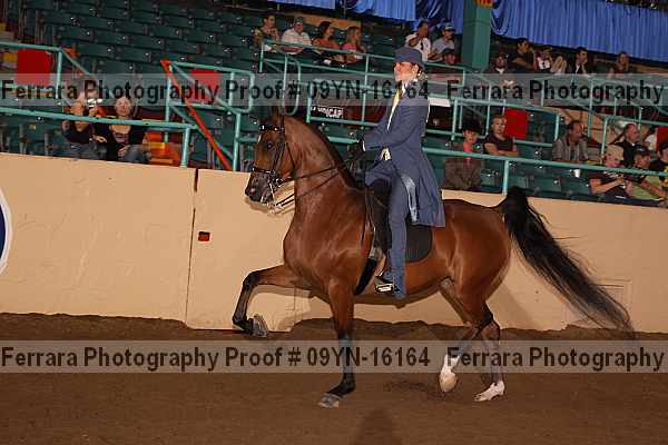 Proof 09yn-16164