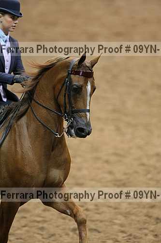 Proof 09yn-16165