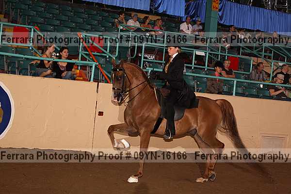 Proof 09yn-16166