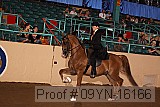 09yn-16166 proof
