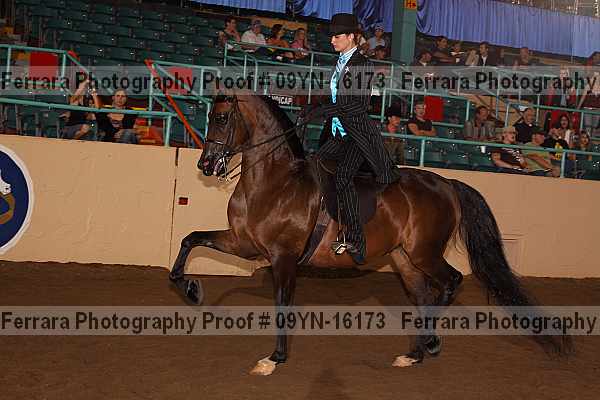 Proof 09yn-16173