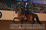 09yn-16173 proof