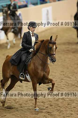 Proof 09yn-16174