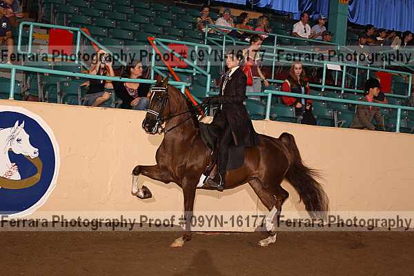 Proof 09yn-16177