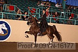 09yn-16177 proof