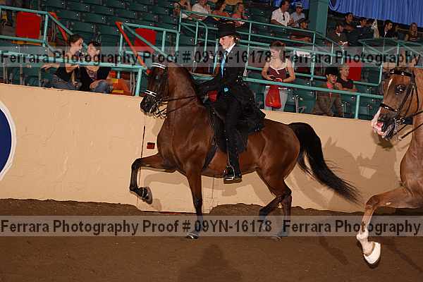 Proof 09yn-16178