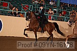 09yn-16178 proof
