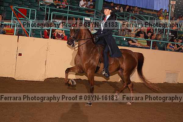 Proof 09yn-16183