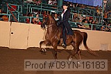 09yn-16183 proof