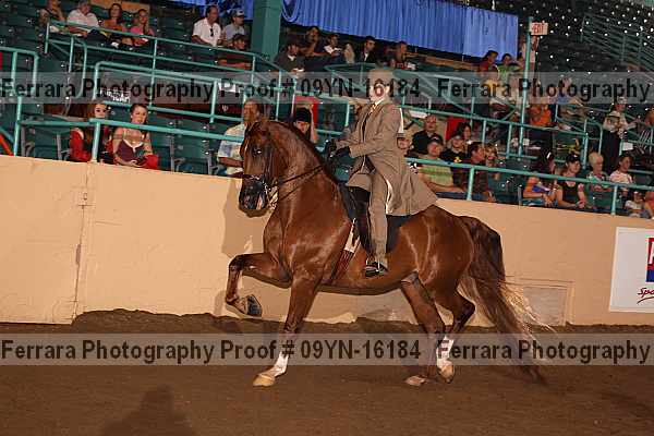 Proof 09yn-16184