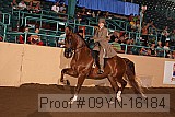 09yn-16184 proof