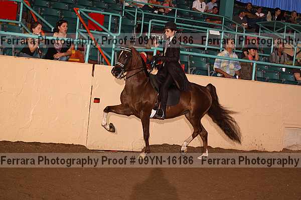 Proof 09yn-16186