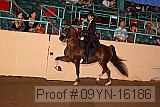 09yn-16186 proof