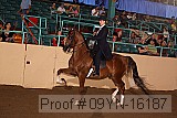 09yn-16187 proof