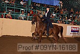 09yn-16188 proof