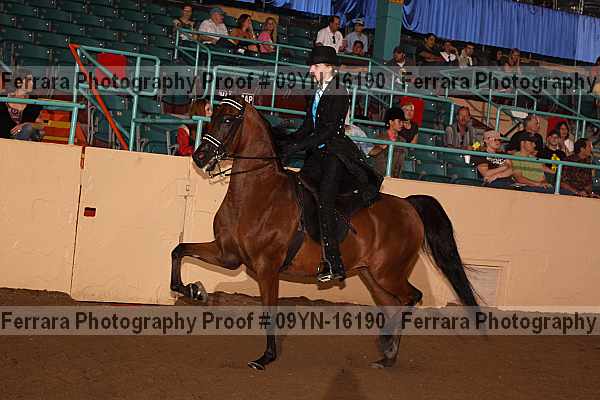 Proof 09yn-16190
