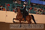 09yn-16190 proof