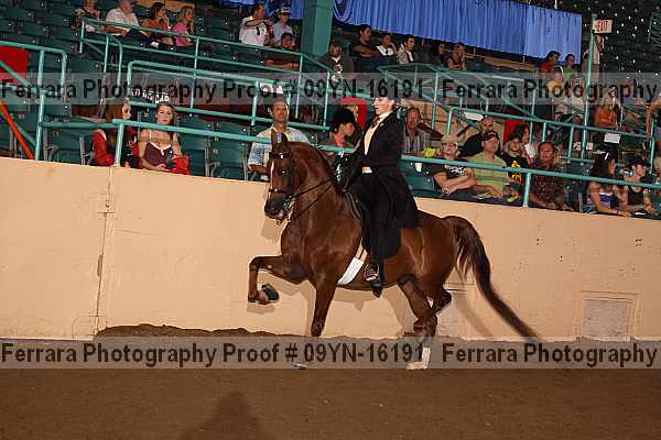 Proof 09yn-16191