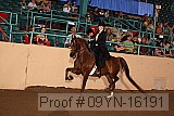 09yn-16191 proof