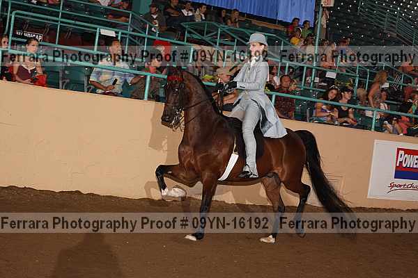 Proof 09yn-16192