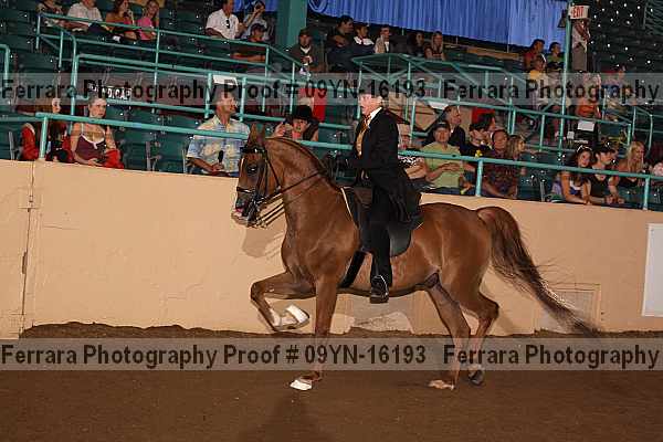 Proof 09yn-16193
