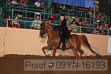 09yn-16193 proof