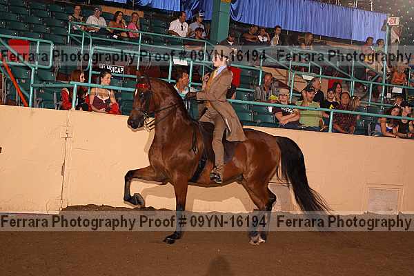 Proof 09yn-16194