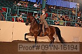 09yn-16194 proof