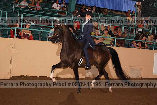 Proof 09yn-16195