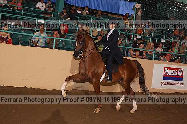 Proof 09yn-16196