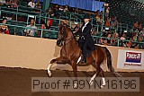 09yn-16196 proof