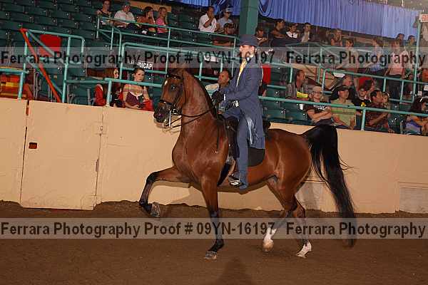 Proof 09yn-16197