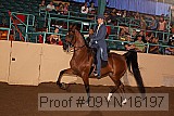 09yn-16197 proof