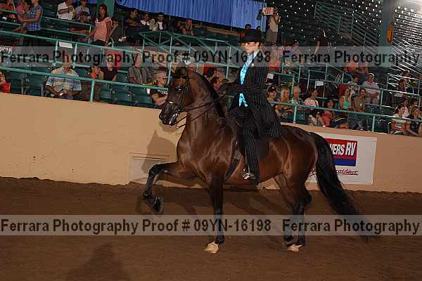 Proof 09yn-16198