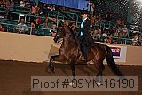 09yn-16198 proof