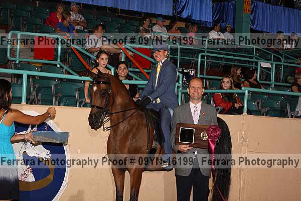 Proof 09yn-16199