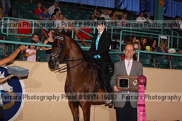 Proof 09yn-16203