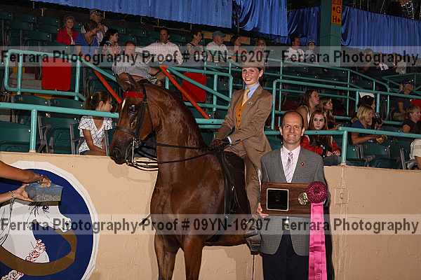 Proof 09yn-16207